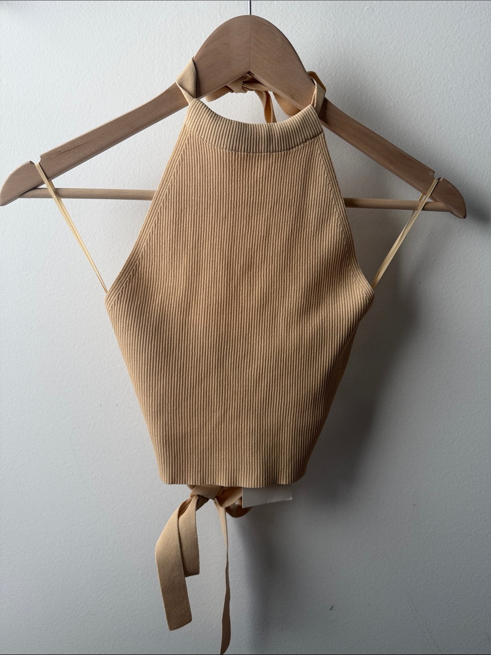 Zara Tan Ribbed Halter Tie-Back Crop Top